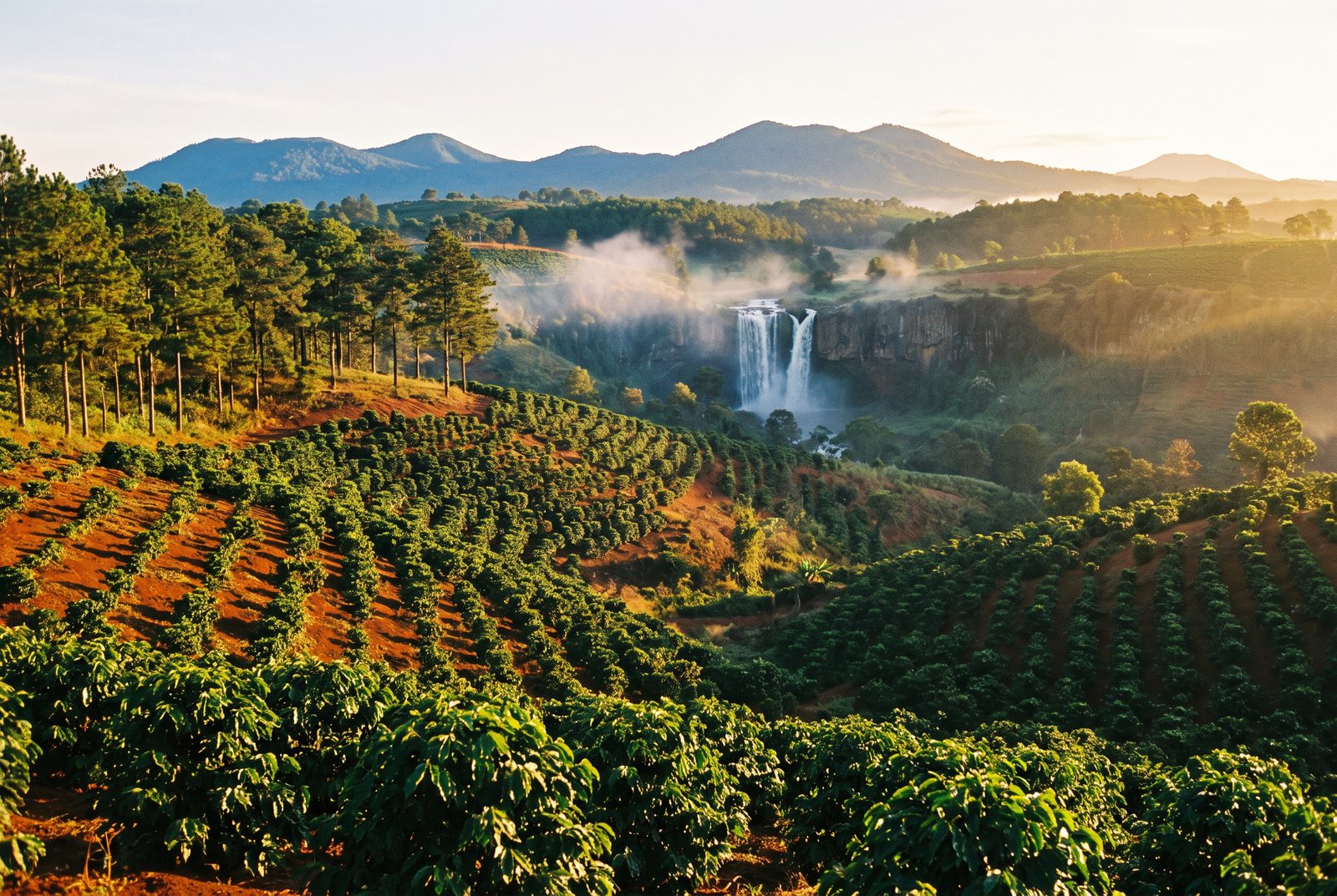 Coffee hills and waterfall in the Central Highlands