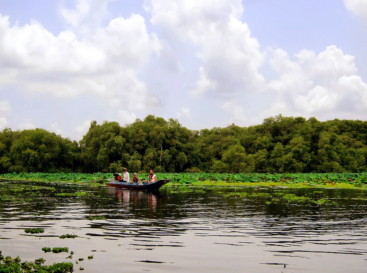 Tham quan Trà Sư