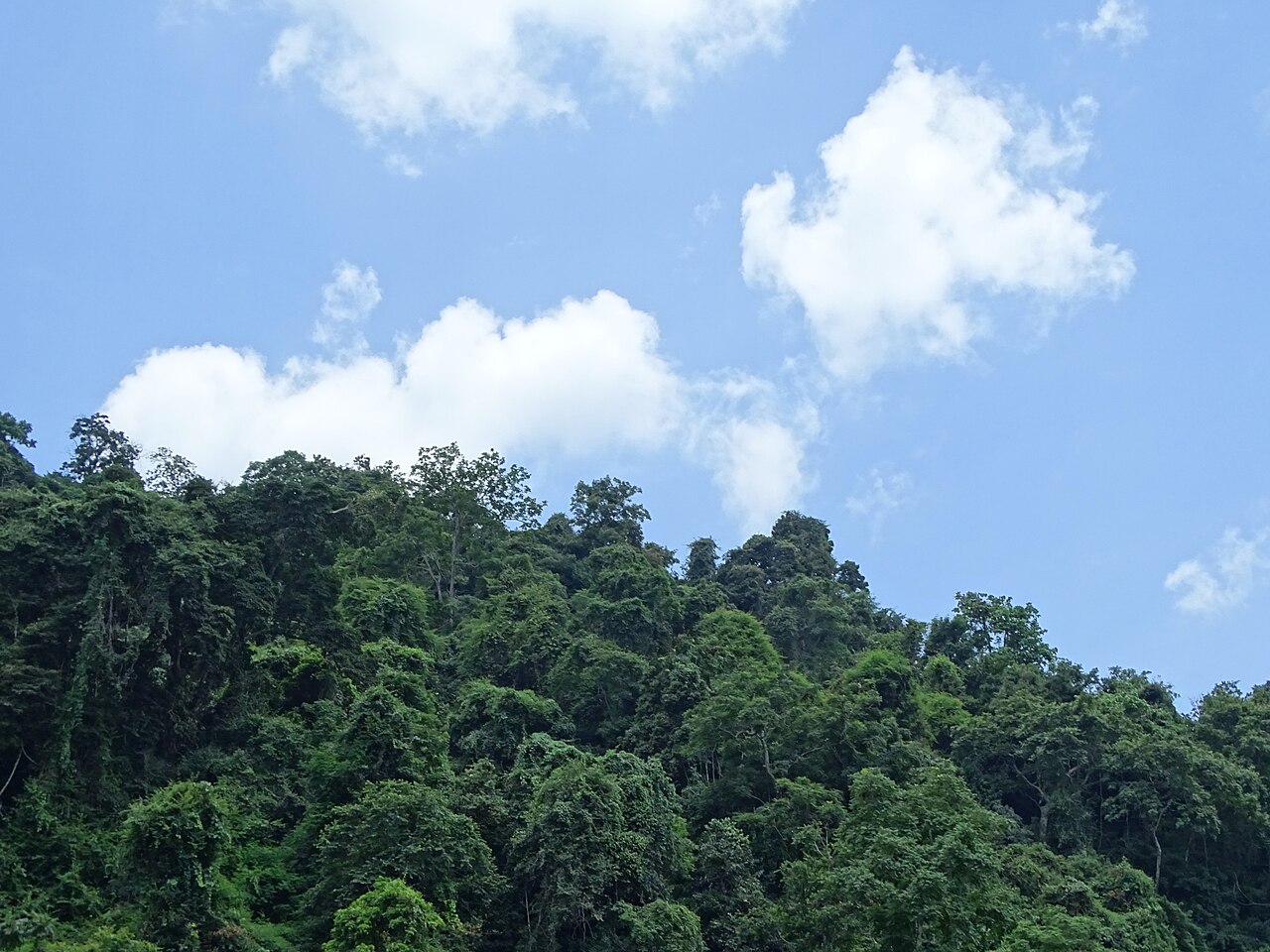 Scenery at Ba Be Lake - Ba Be National Park - Vietnam - 02 (48102255951)