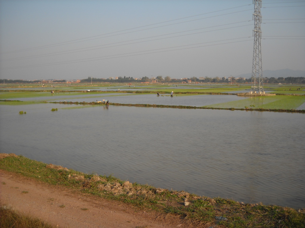 Bắc Giang Viet Yen2