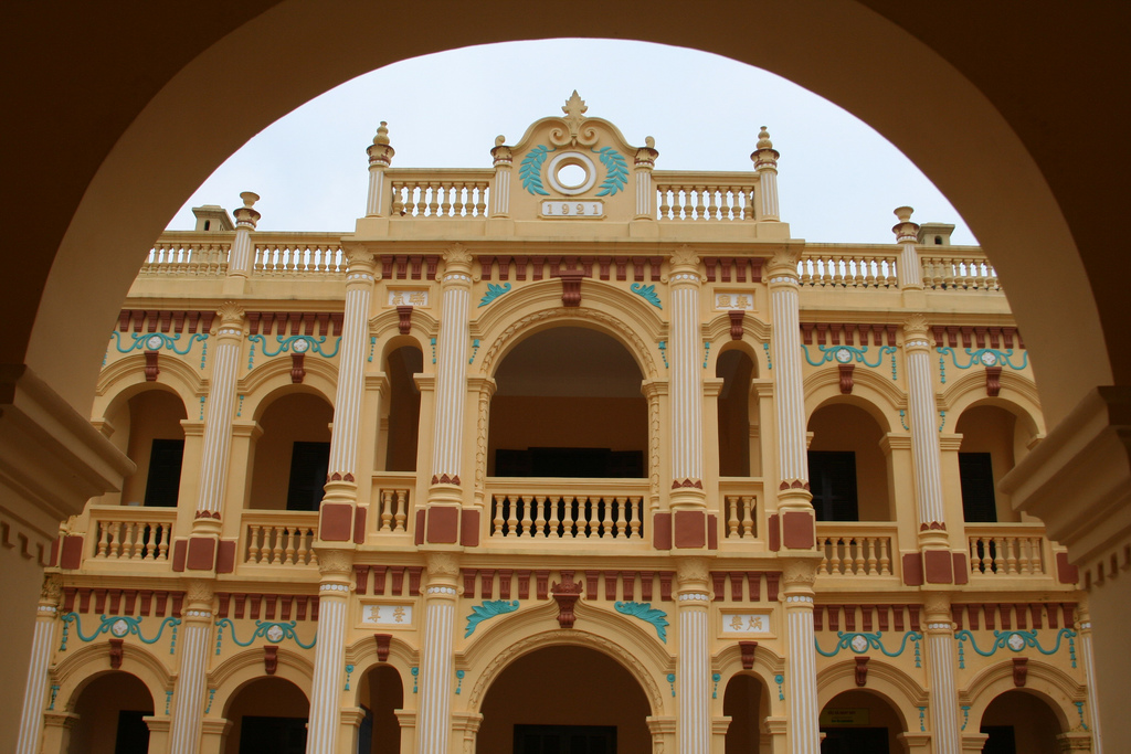 Mèo Hoàng A Tưởng