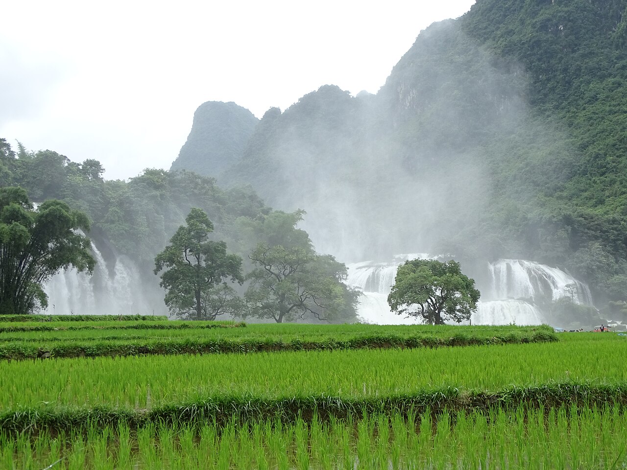Ban Gioc Waterfall - Trung Kanh District - Cao Bang Province - Vietnam - 03 (48119829898)
