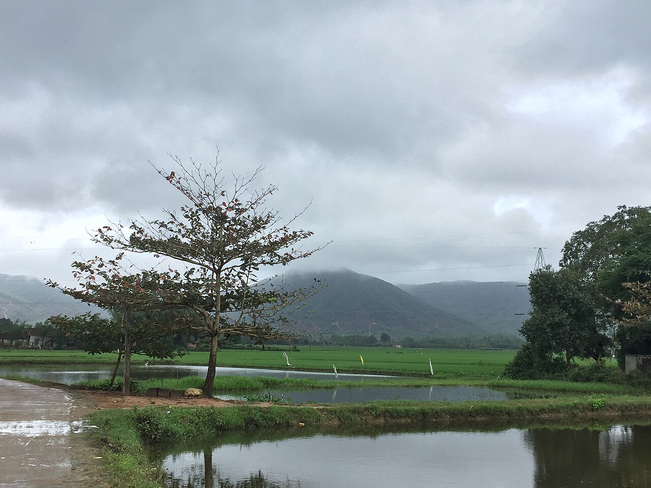 Làng quê Tây Sơn