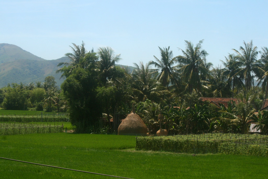 Binh Dinh farm
