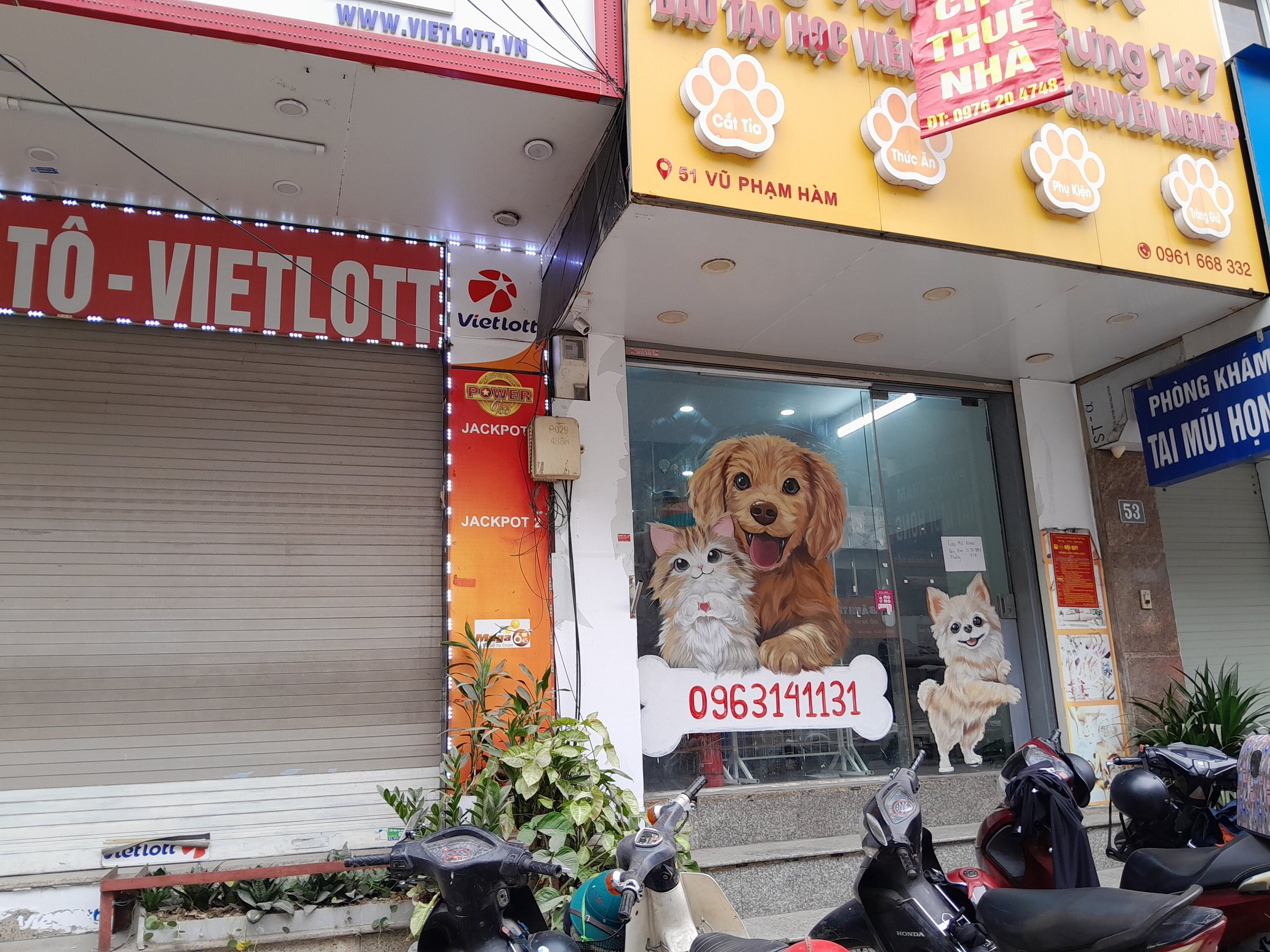 On Vũ Phạm Hàm Street 03-02-2026. Petpark Shop