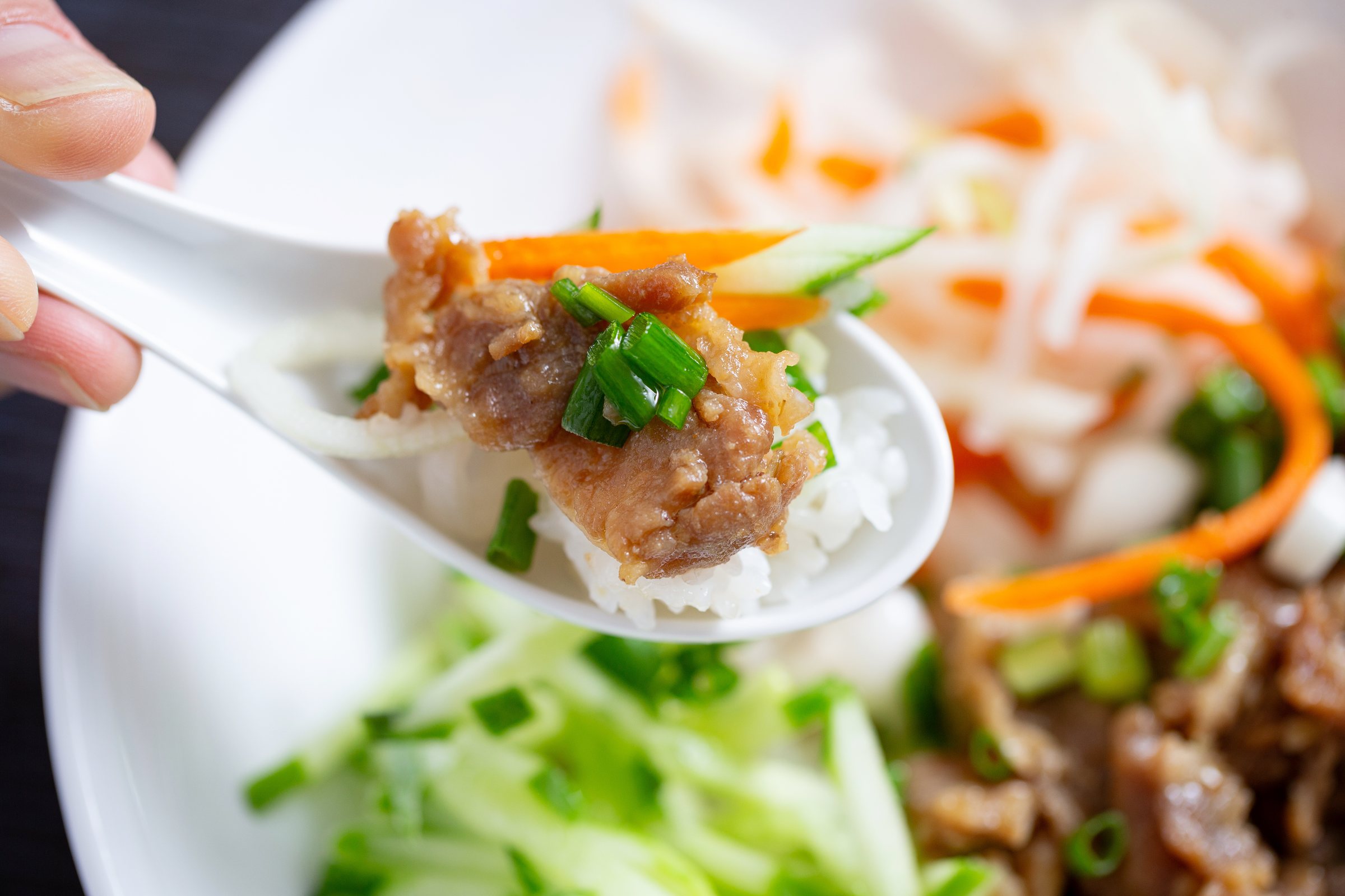 bun cha, grilled pork rice noodles and herbs