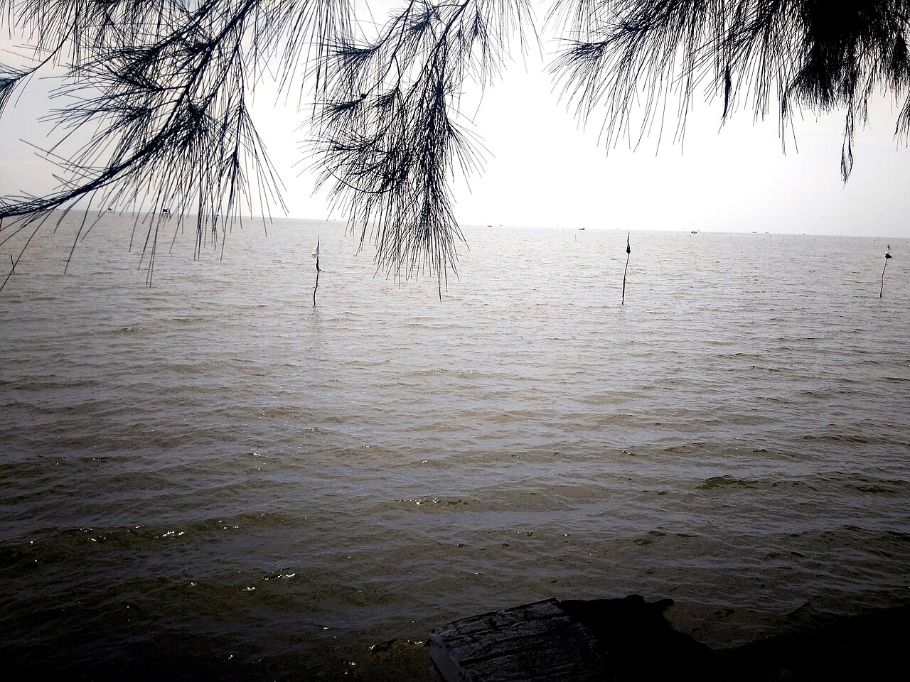 Cần Giờ 2018 (KND Phương Nam, biển Cần Giờ) (2)