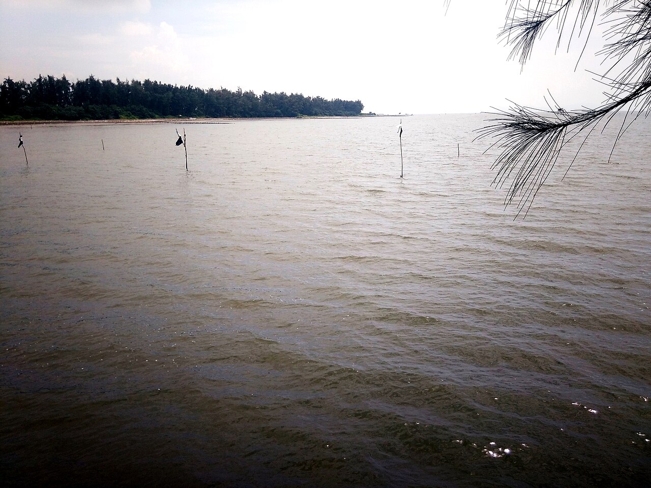 Cần Giờ 2018 (KND Phương Nam, biển Cần Giờ) (3)