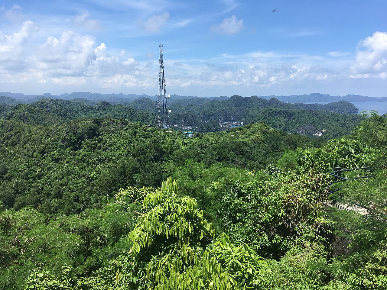 Cat Ba Island