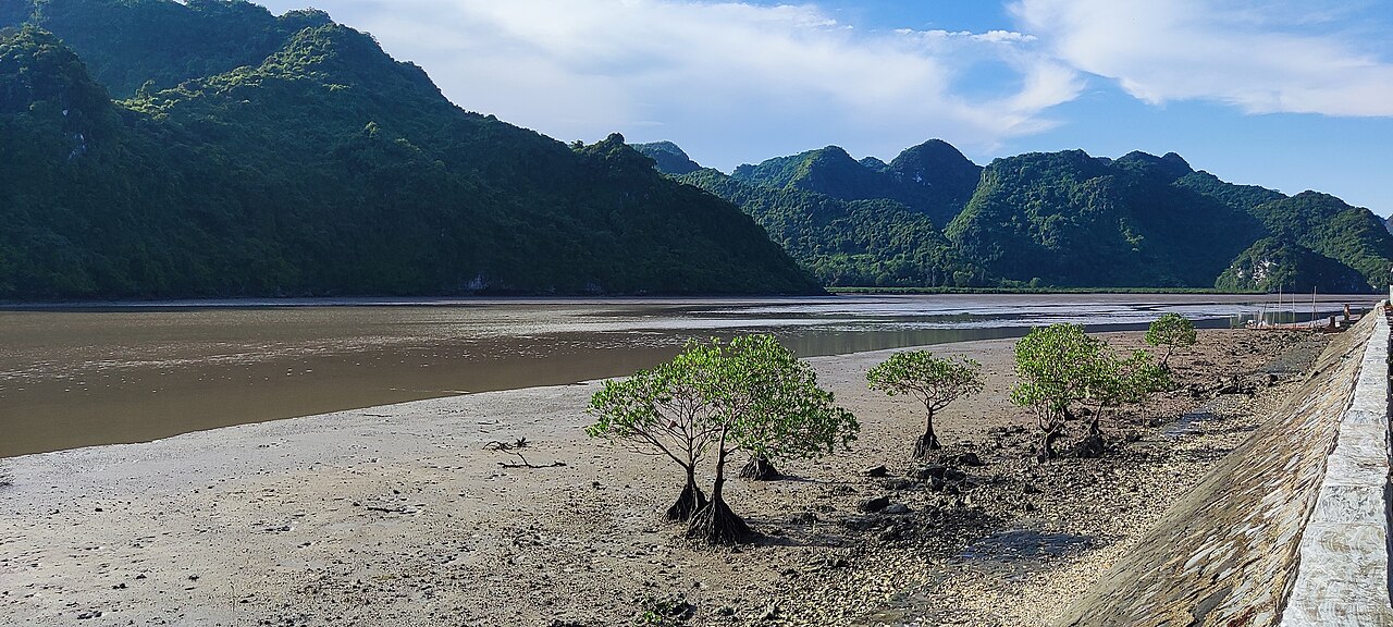 Cat Ba Island 2