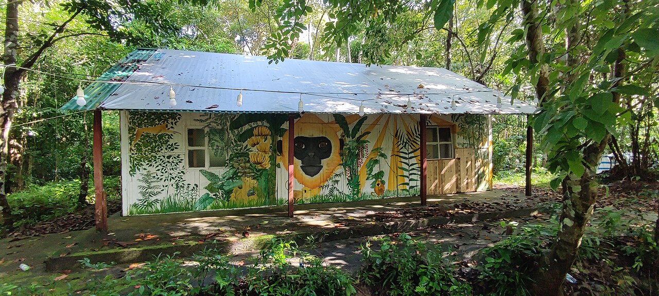 Building on Cat Ba island