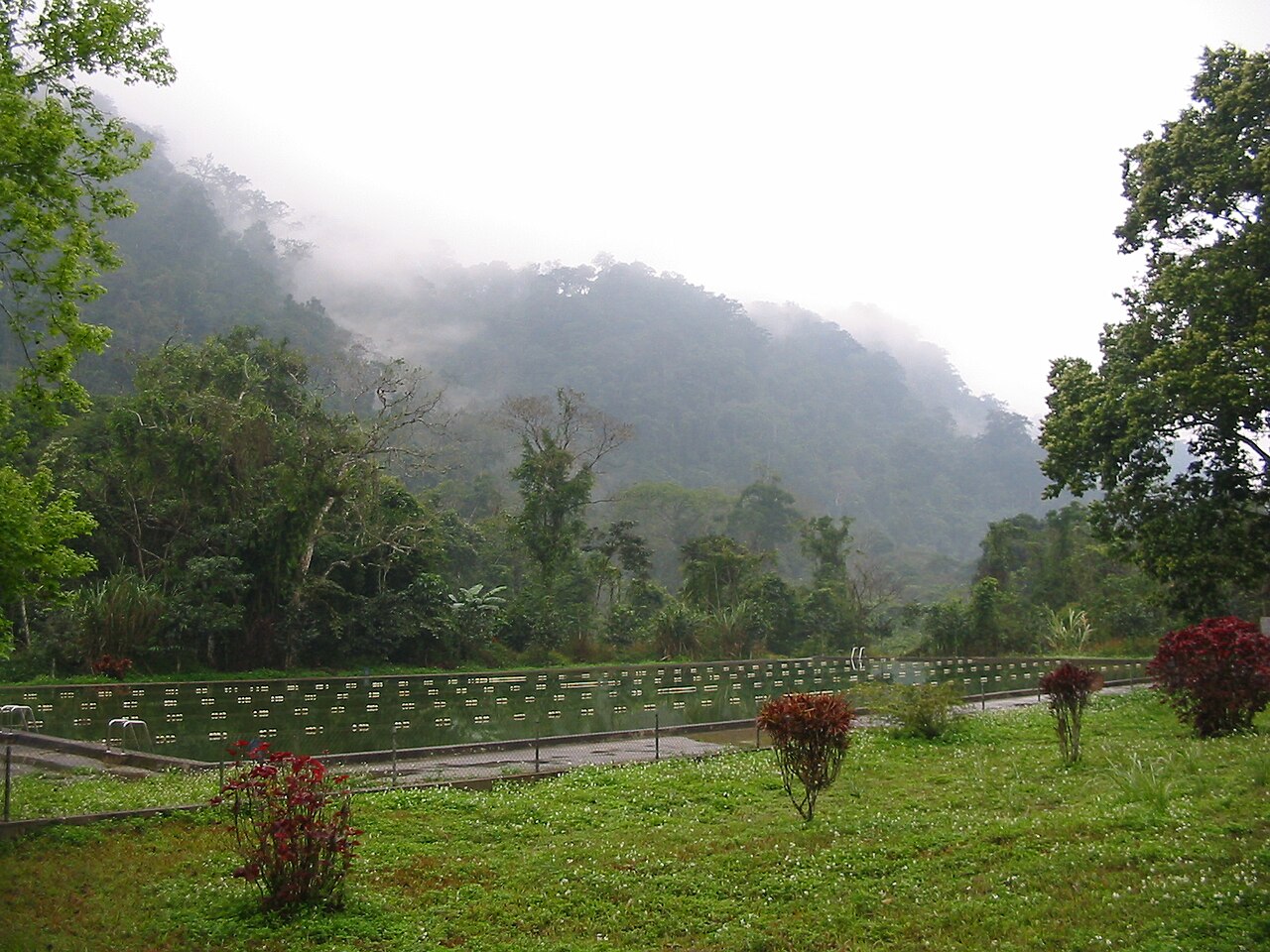 Cuc.Phuong.National.Park