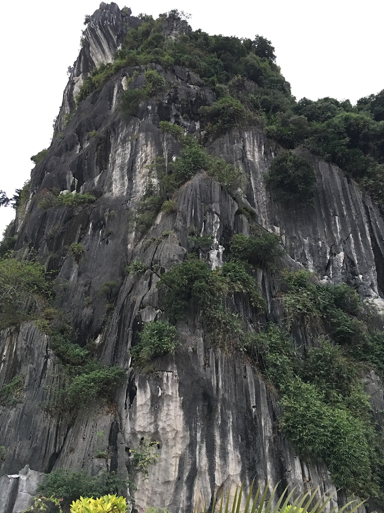 Hạ Long