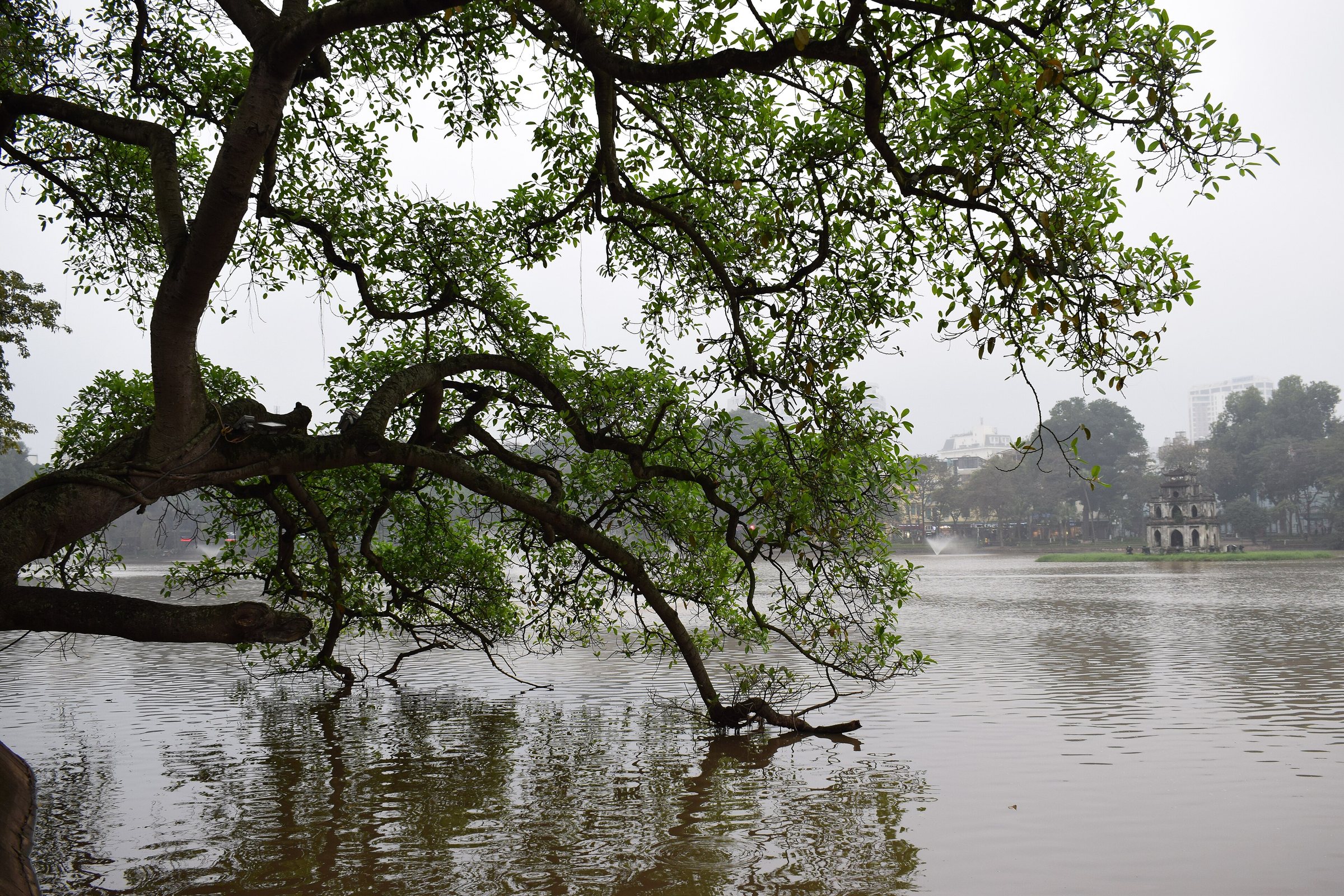 Hoan Kiem Lake (25398366277)
