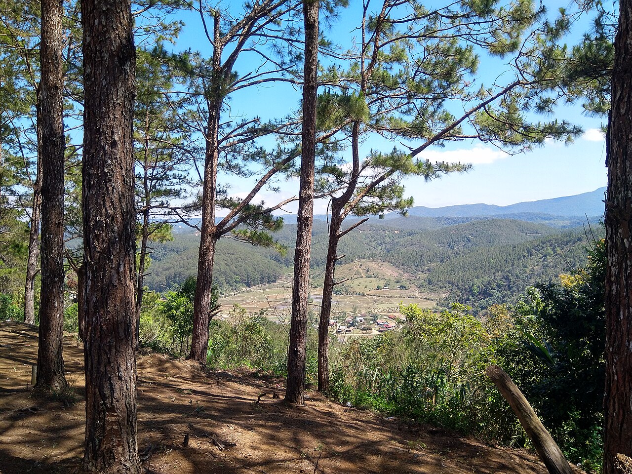 Măng Đen 2