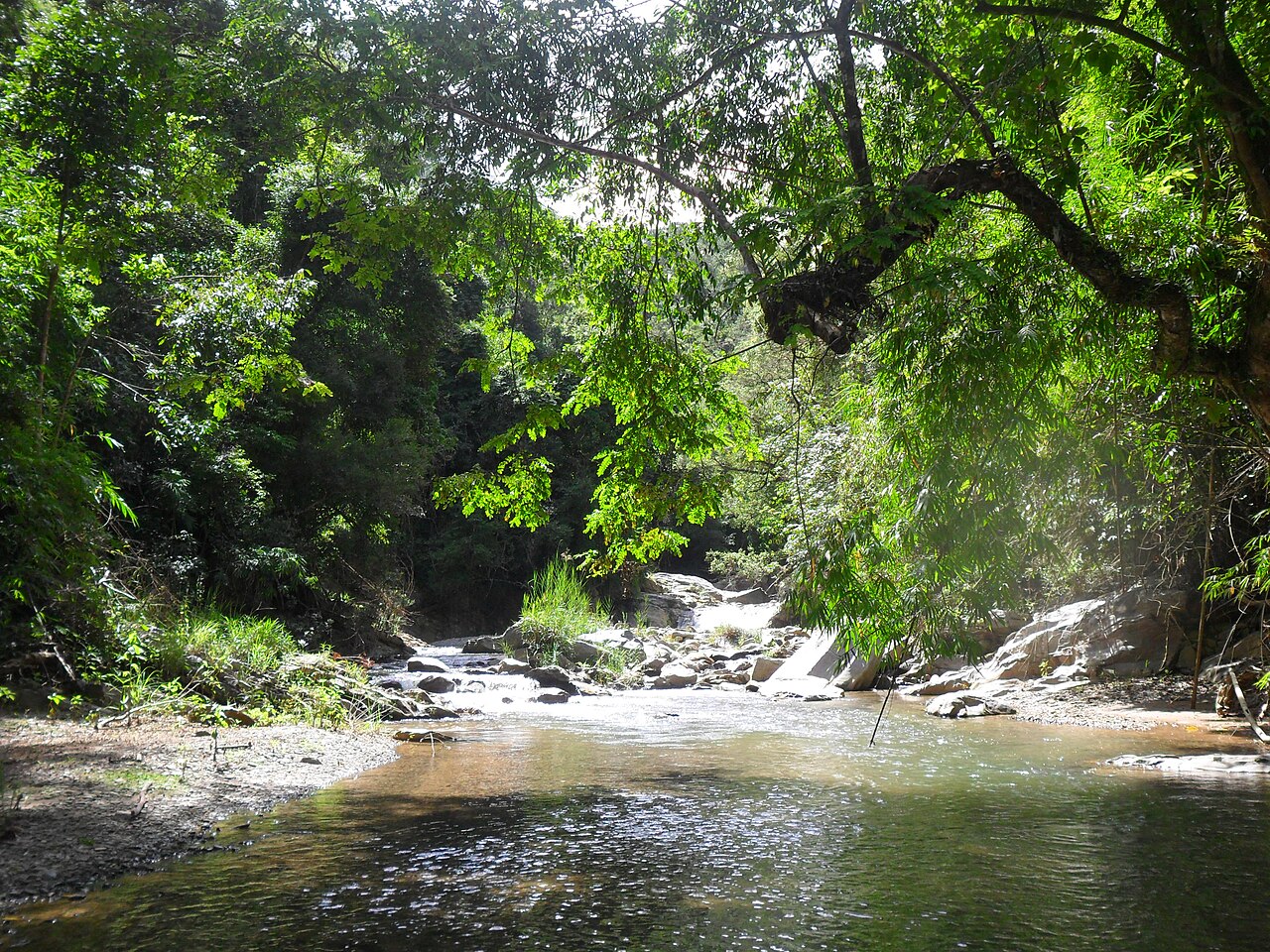 Stream in Kon Tum 3