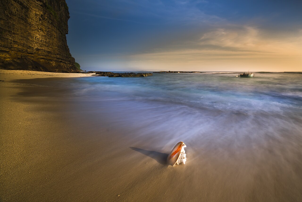 Background-3062008