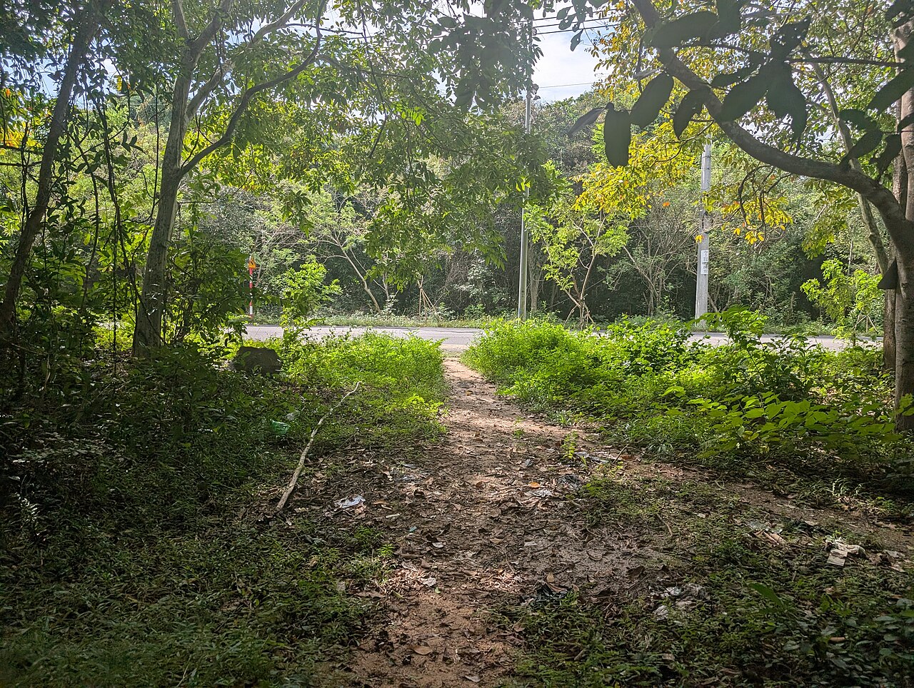 November 2024, Binh Chau - Phuoc Buu nature reserve, along South of central road