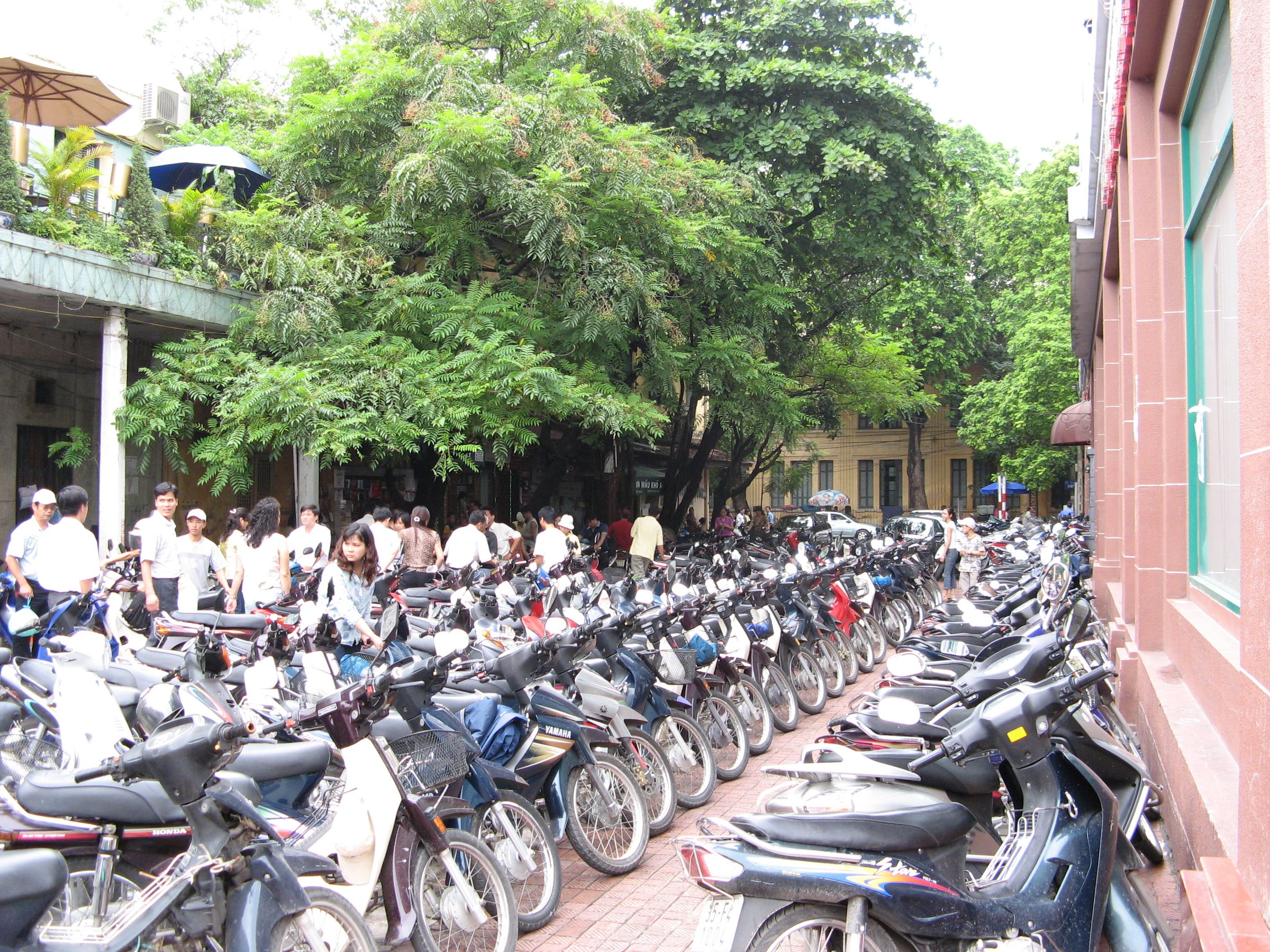 Motorbikes at hanoi vietnam