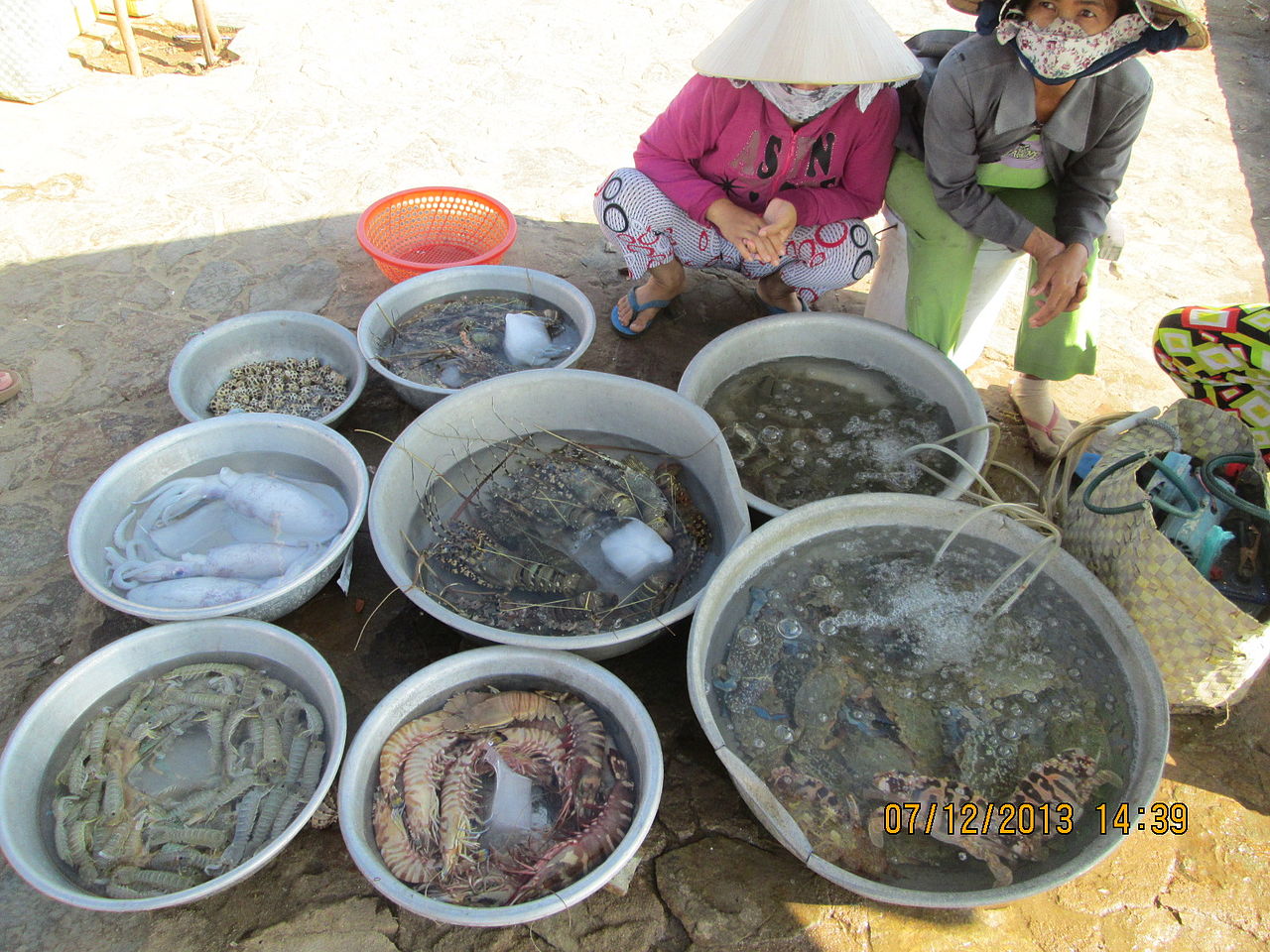 Fresh live sea-food sold in Mui Ne