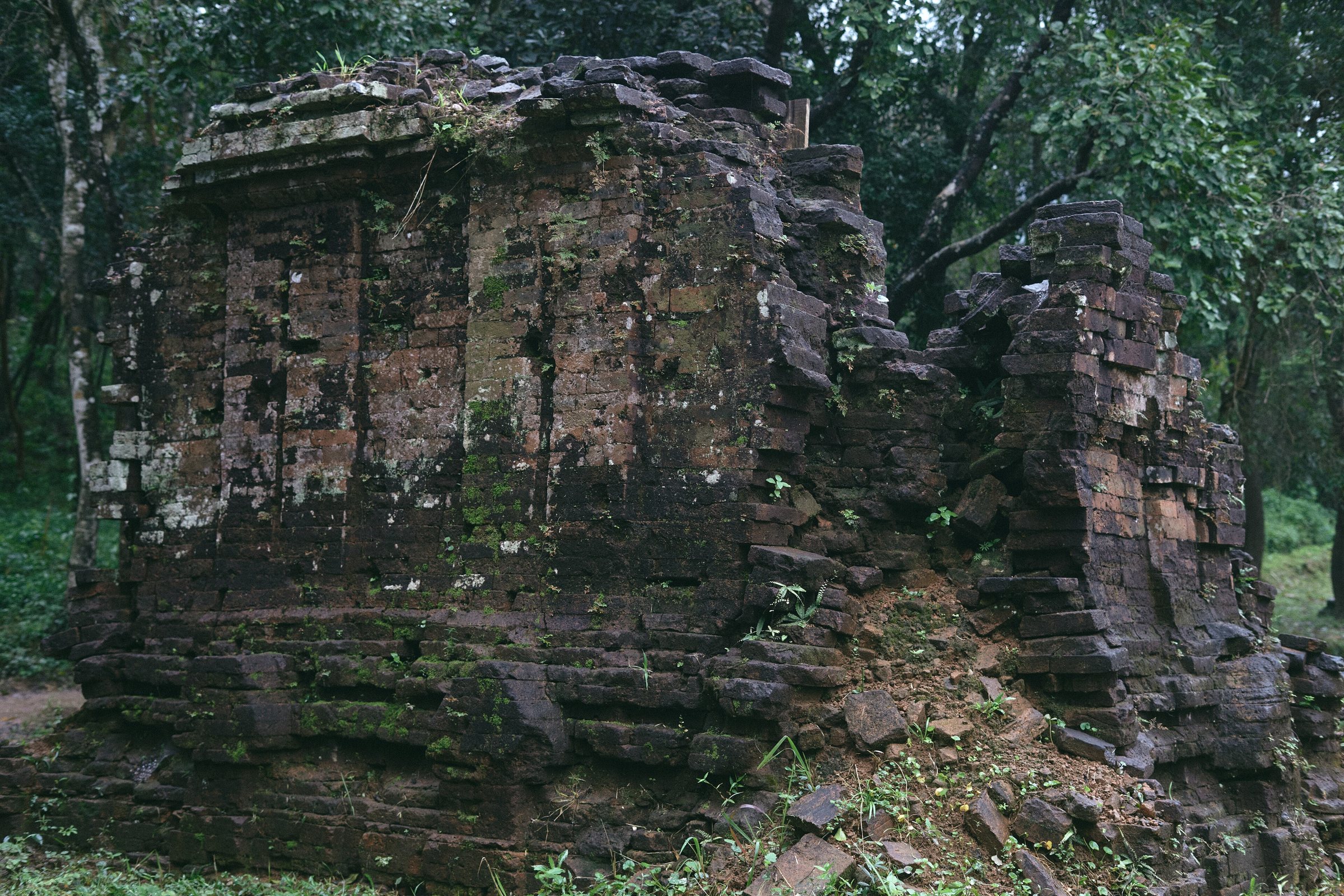 My Son Sanctuary, Vietnam, 2017 (52415723486)