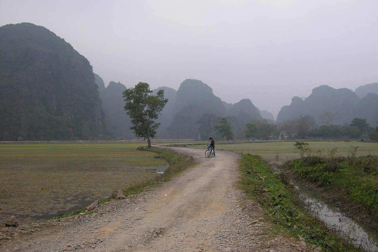 Vietnam, Ninh Binh, In the wild