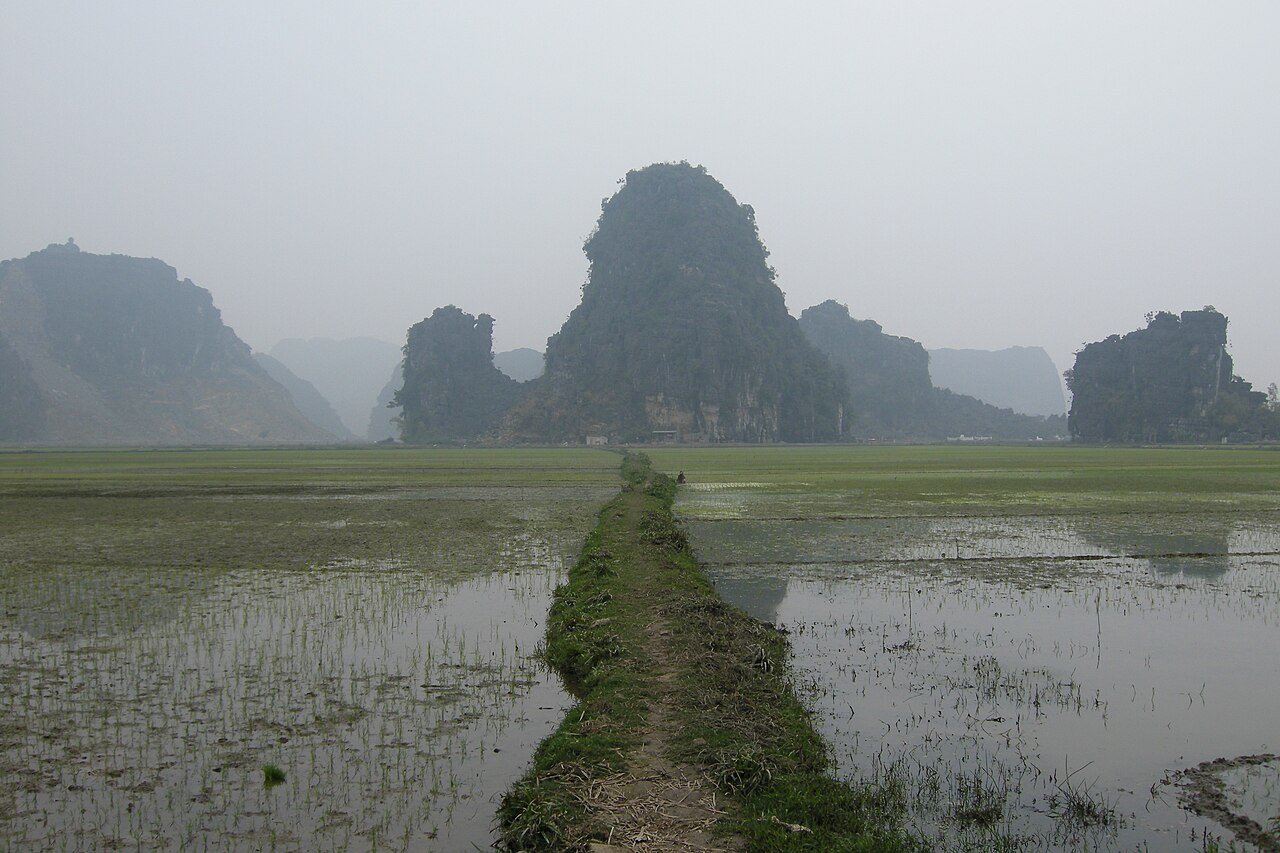 Vietnam, Ninh Binh, Limestone rocks and wetlands