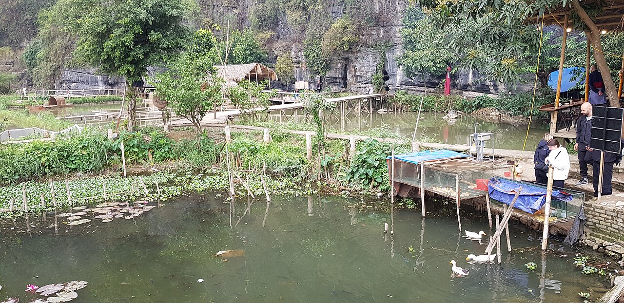 Tam Coc Ninh Binh