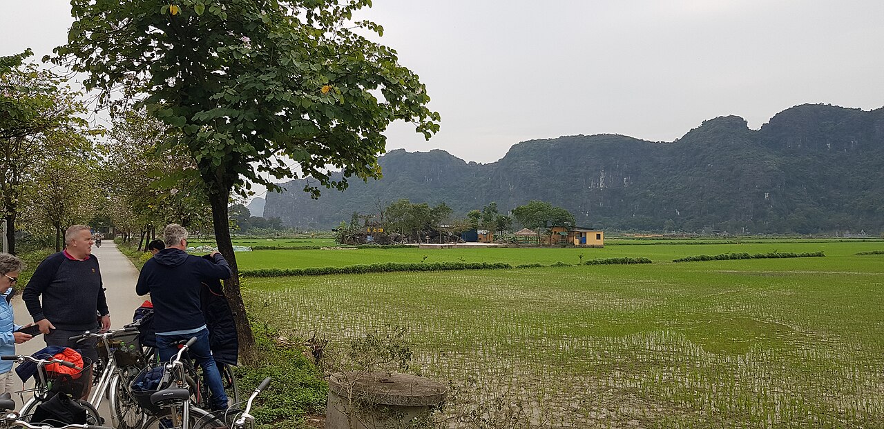 Tam Coc Ninh Binh (22310)