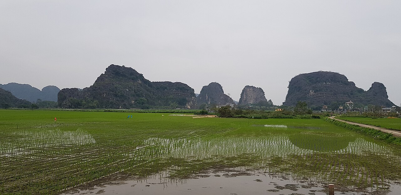 Tam Coc Ninh Binh (29079)