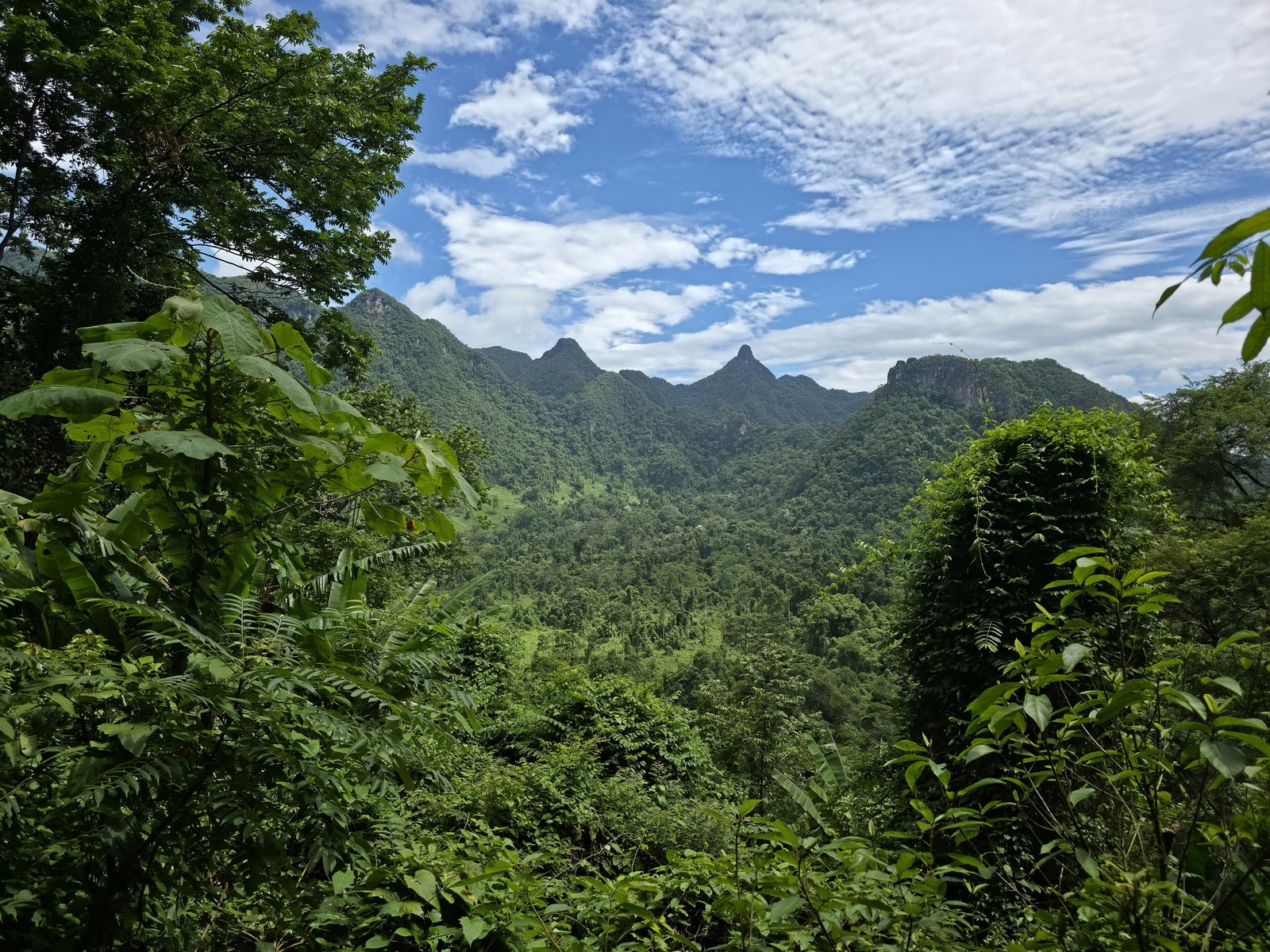 Limestone mountains viewed from the path to Paradise Cave
