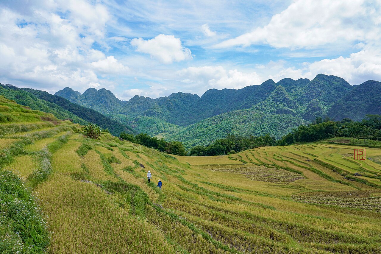 Ruộng bậc thang Pù Luông 1 - NKS