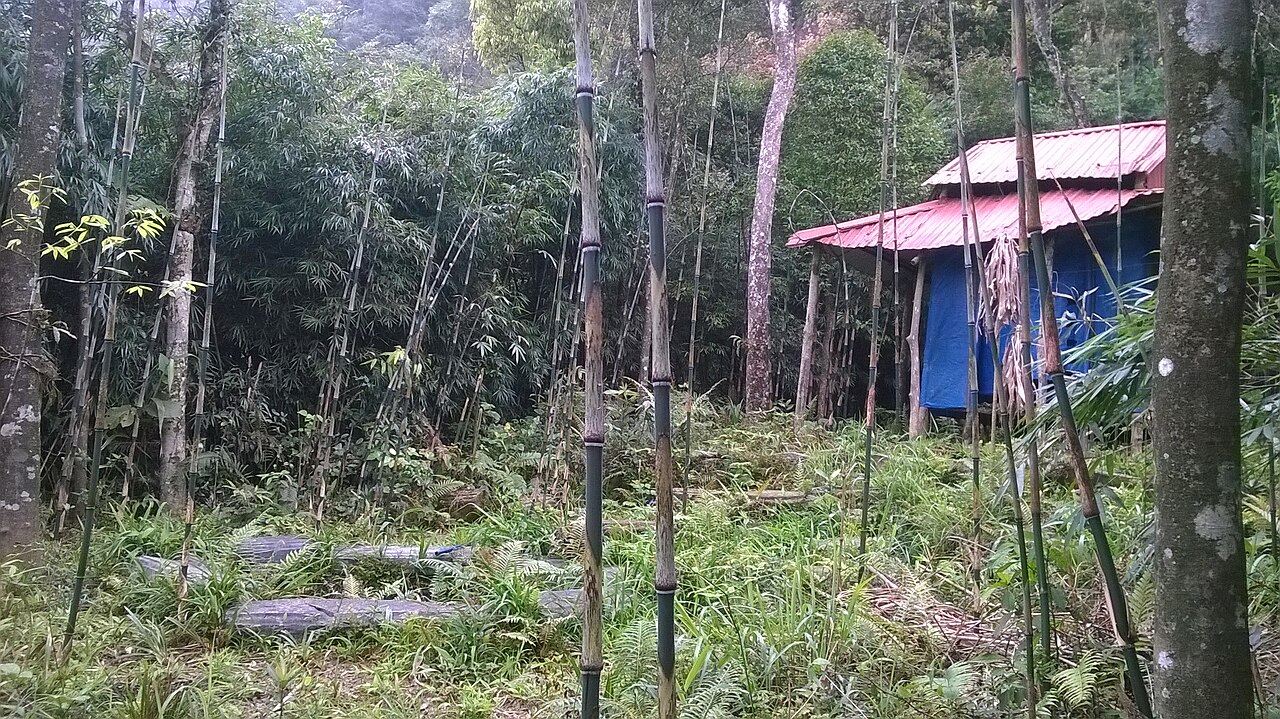 Am Hàm Rồng