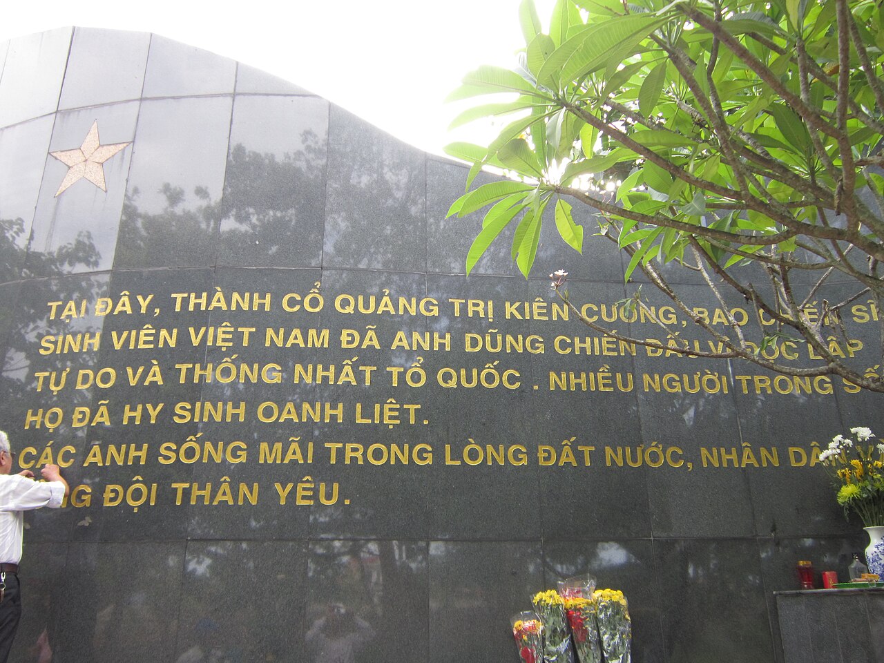 Dai chung tich sinh vien chien si thanh co 2