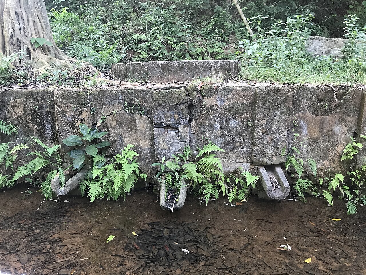 Giếng Ba Vòi