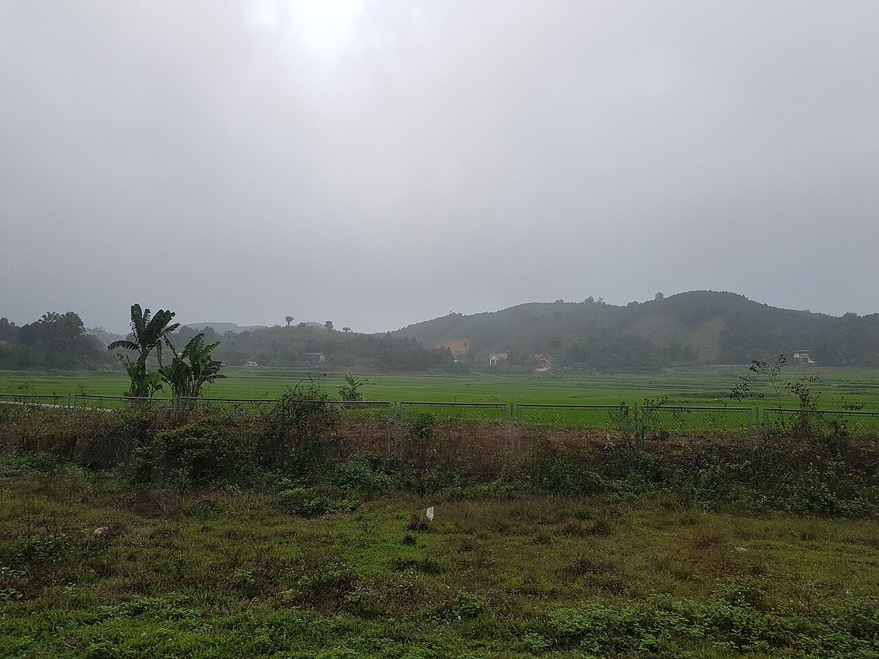 Road Sapa Lao Cai in rainy weather (74630)