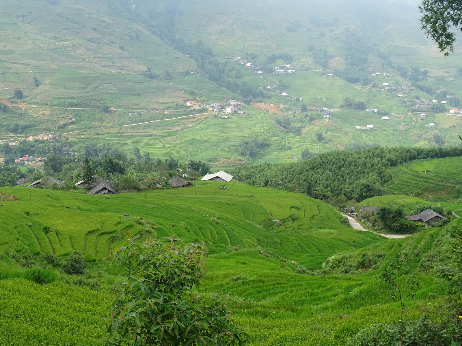 Mường Hoa Valley 06