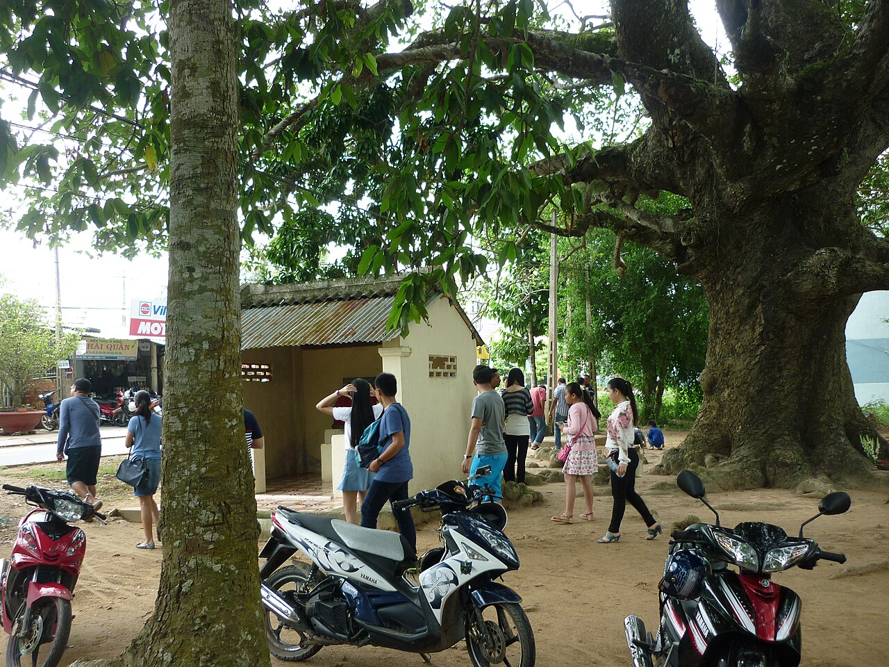 The natural beauty of the countryside Tra Vinh !!!!