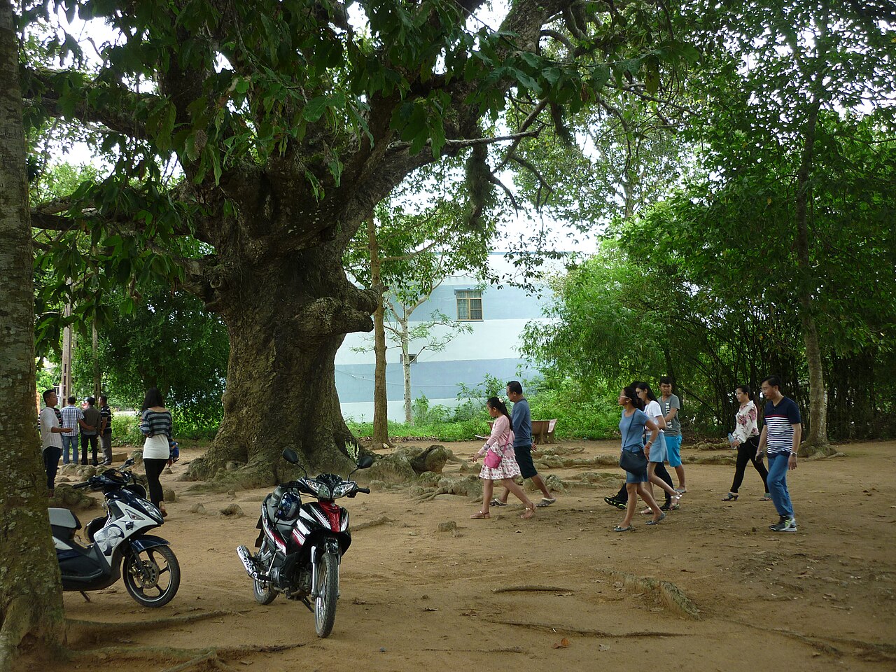 The natural beauty of the countryside Tra Vinh !!!