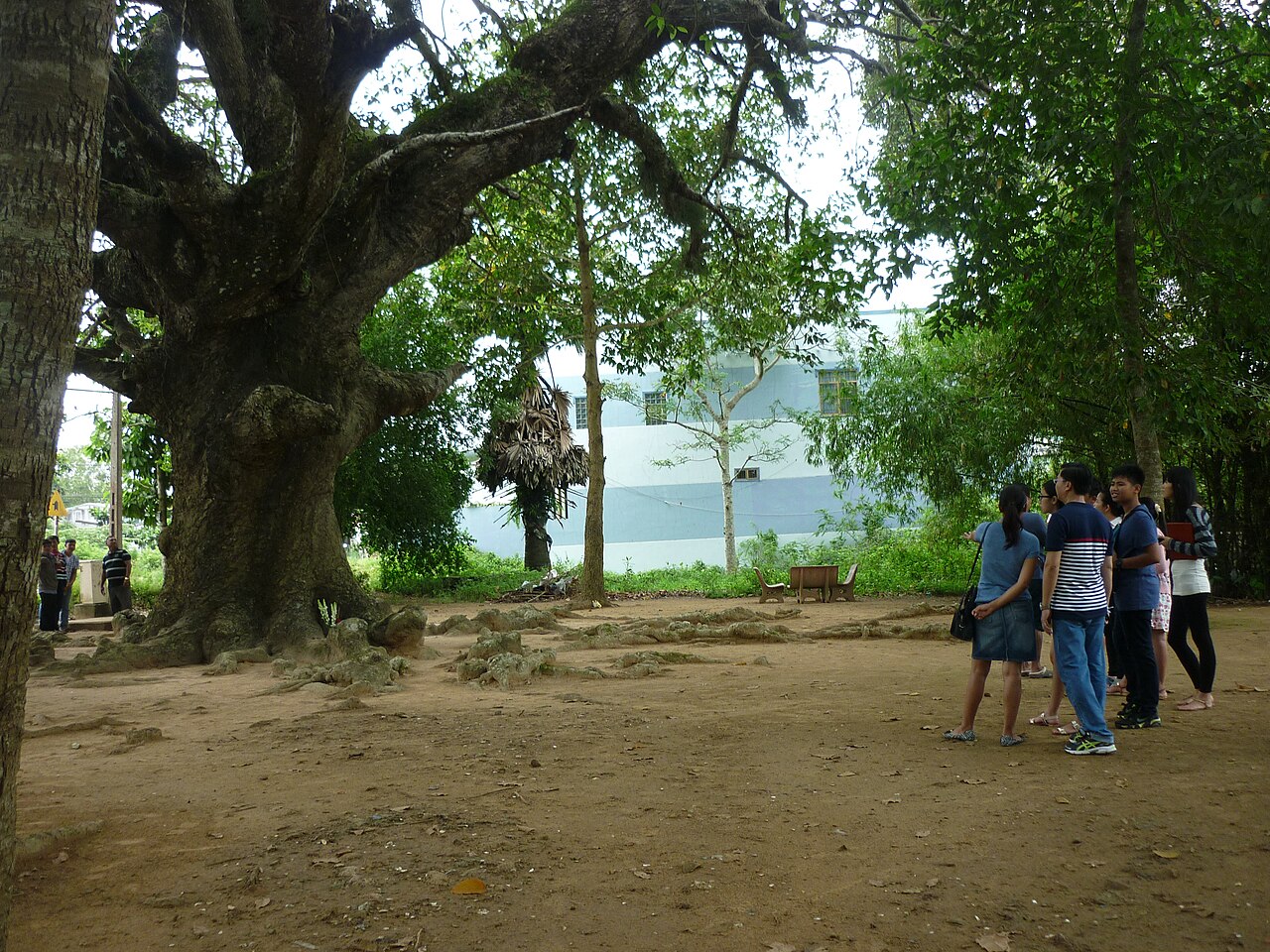The natural beauty of the countryside Tra Vinh !!