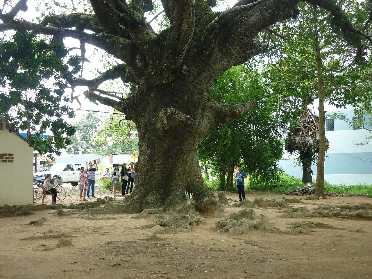 The natural beauty of the countryside Tra Vinh !